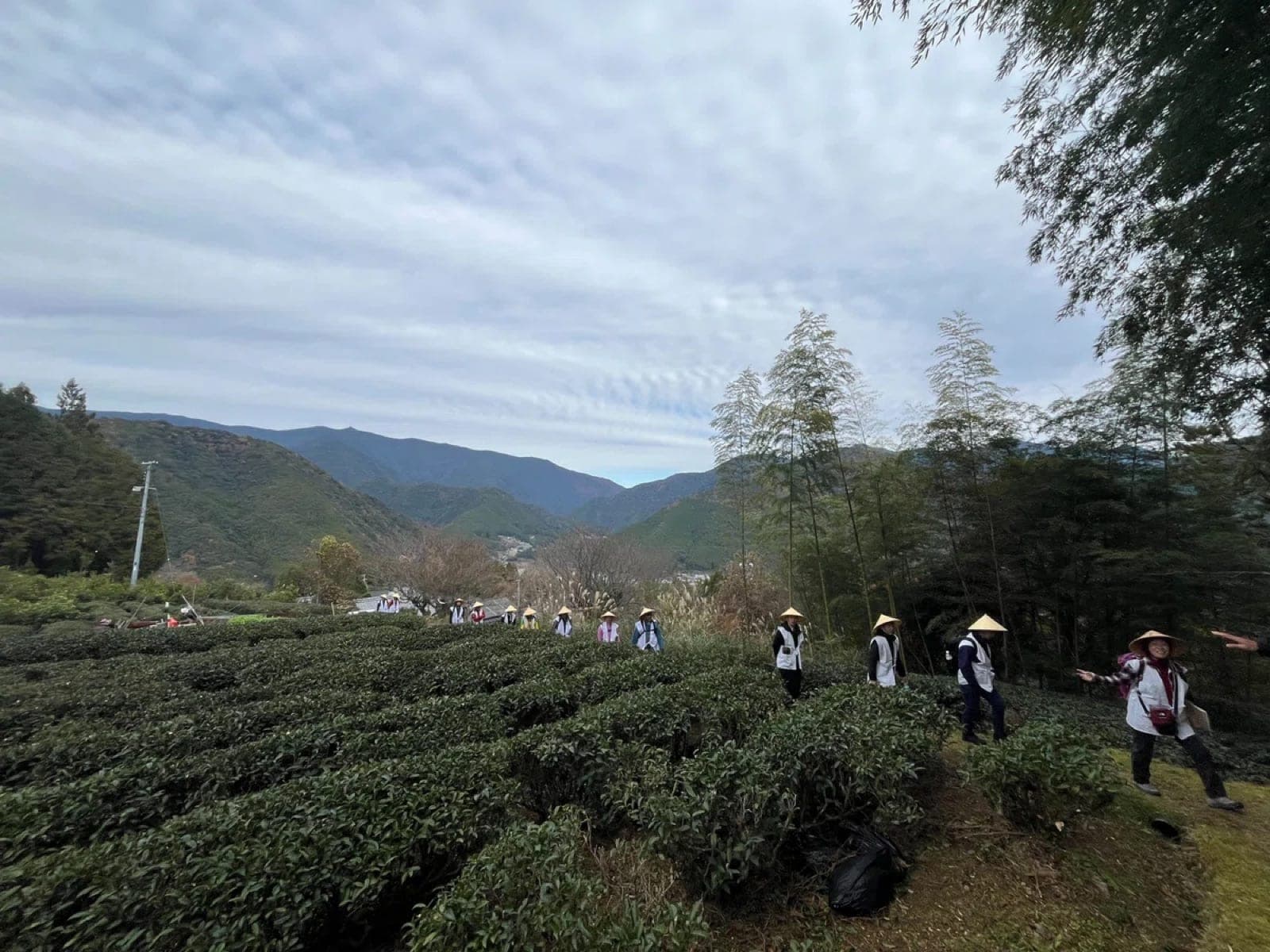 熊野古道のモニターツアー